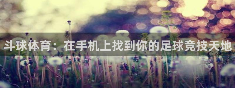 斗球体育：在手机上找到你的足球竞技天地