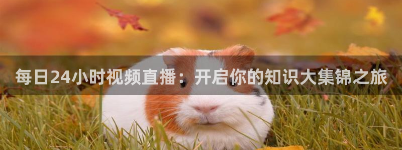 每日24小时视频直播：开启你的知识大集锦之旅