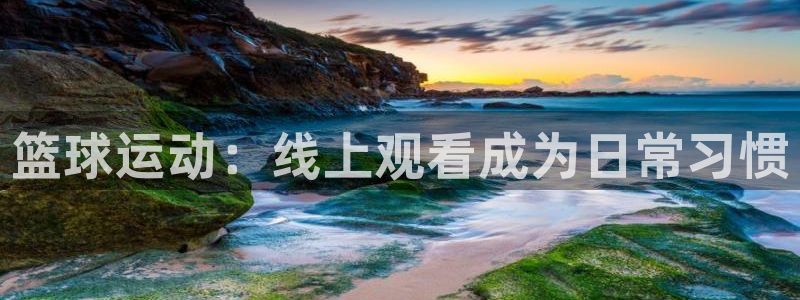 篮球运动：线上观看成为日常习惯