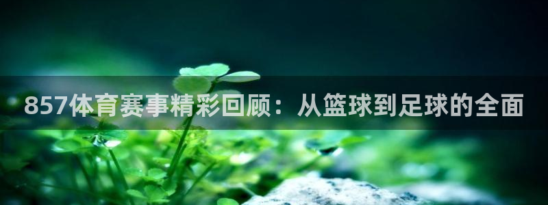 857体育赛事精彩回顾：从篮球到足球的全面