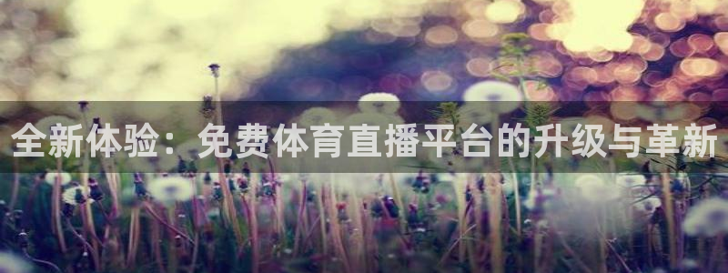 全新体验：免费体育直播平台的升级与革新