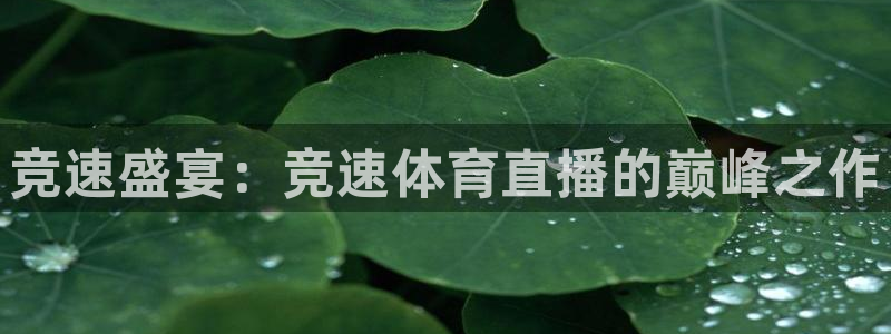 竞速盛宴：竞速体育直播的巅峰之作