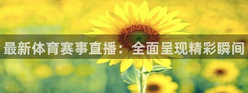 最新体育赛事直播：全面呈现精彩瞬间