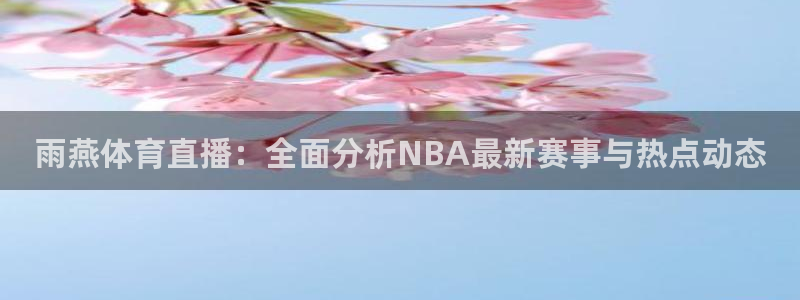 雨燕体育直播：全面分析NBA最新赛事与热点动态