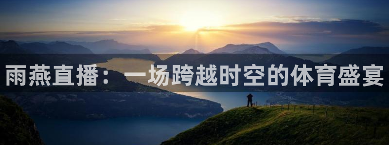 雨燕直播：一场跨越时空的体育盛宴