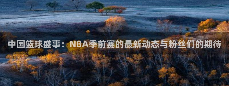 中国篮球盛事：NBA季前赛的最新动态与粉丝们的期待
