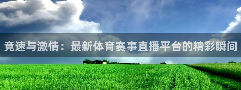 竞速与激情：最新体育赛事直播平台的精彩瞬间