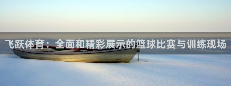 飞跃体育：全面和精彩展示的篮球比赛与训练现场