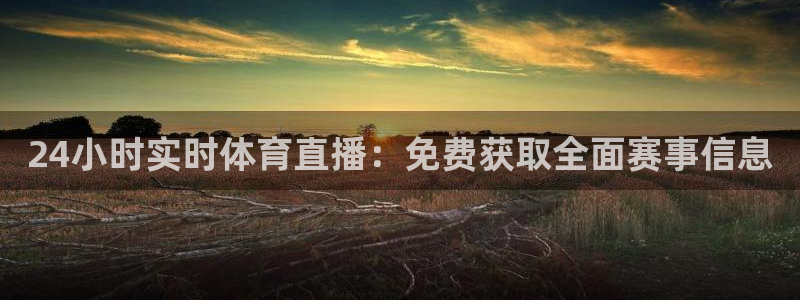 24小时实时体育直播：免费获取全面赛事信息