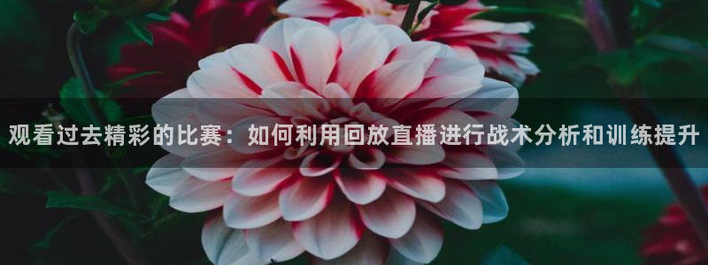 观看过去精彩的比赛：如何利用回放直播进行战术分析和训练提升