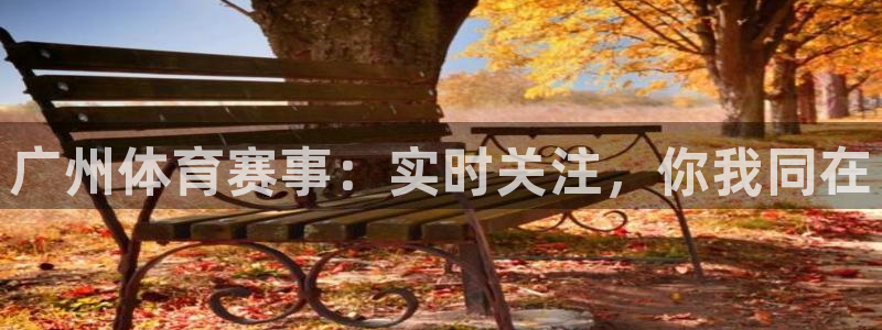 广州体育赛事：实时关注，你我同在
