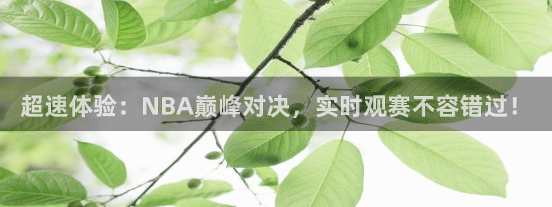 超速体验：NBA巅峰对决，实时观赛不容错过！