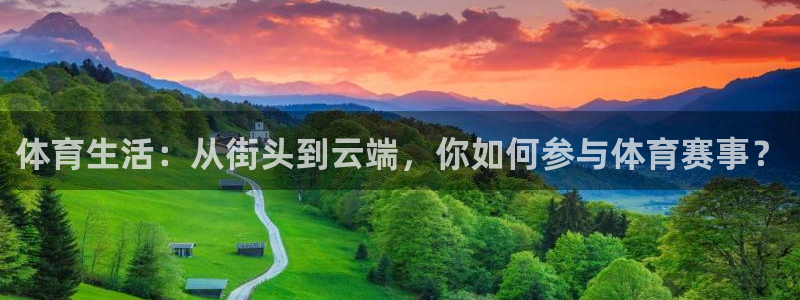 体育生活：从街头到云端，你如何参与体育赛事？
