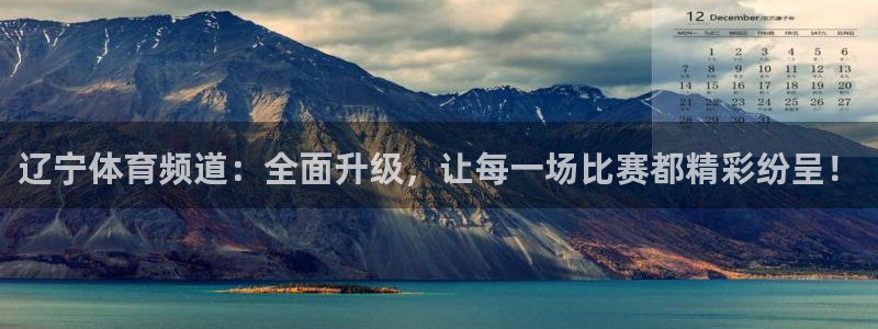 辽宁体育频道：全面升级，让每一场比赛都精彩纷呈！
