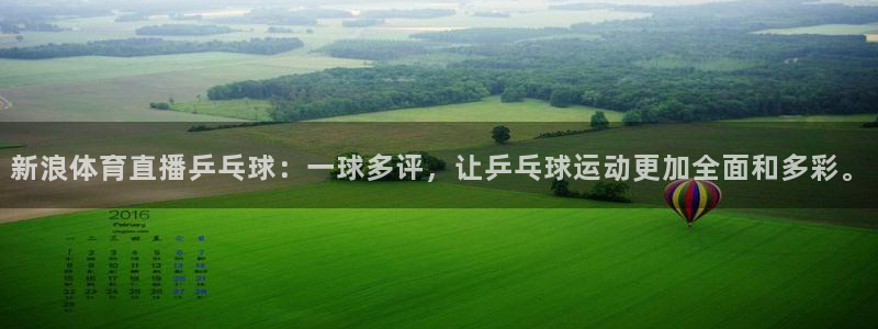 新浪体育直播乒乓球：一球多评，让乒乓球运动更加全面和多彩。