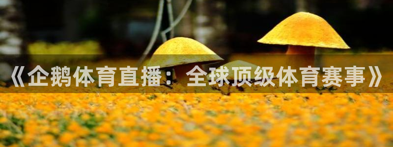 《企鹅体育直播：全球顶级体育赛事》