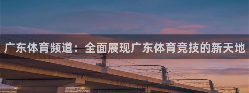 广东体育频道：全面展现广东体育竞技的新天地