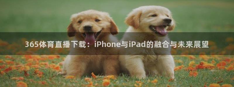 365体育直播下载：iPhone与iPad的融合与未来展望