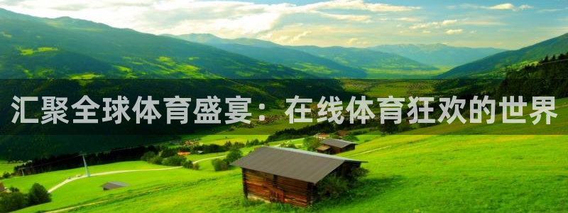 汇聚全球体育盛宴：在线体育狂欢的世界