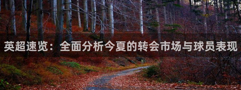 英超速览：全面分析今夏的转会市场与球员表现
