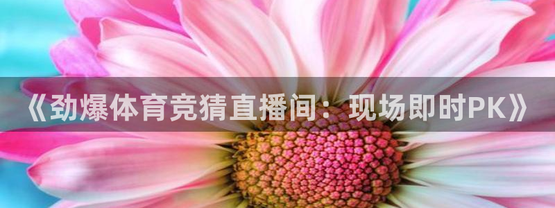 《劲爆体育竞猜直播间：现场即时PK》