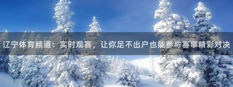 辽宁体育频道：实时观赛，让你足不出户也能参与赛事精彩对决