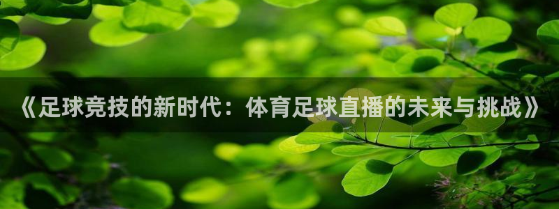《足球竞技的新时代：体育足球直播的未来与挑战》