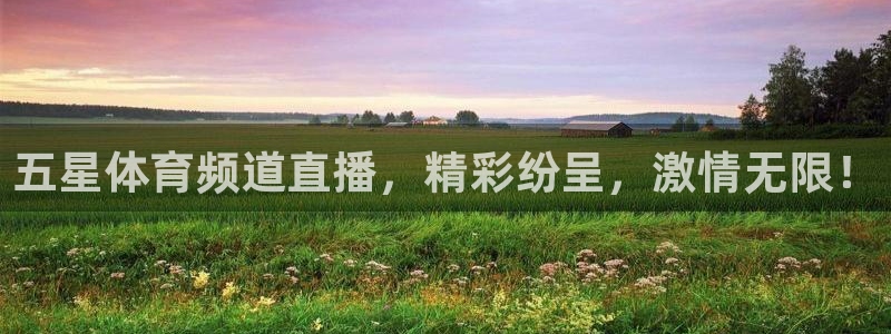 五星体育频道直播，精彩纷呈，激情无限！
