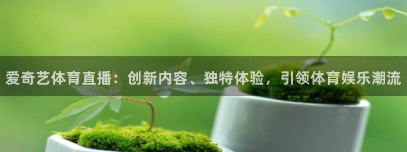 爱奇艺体育直播：创新内容、独特体验，引领体育娱乐潮流