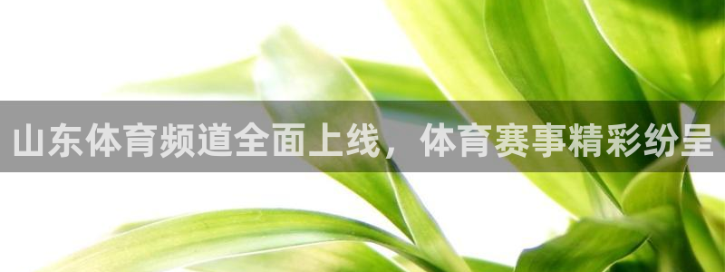 山东体育频道全面上线，体育赛事精彩纷呈