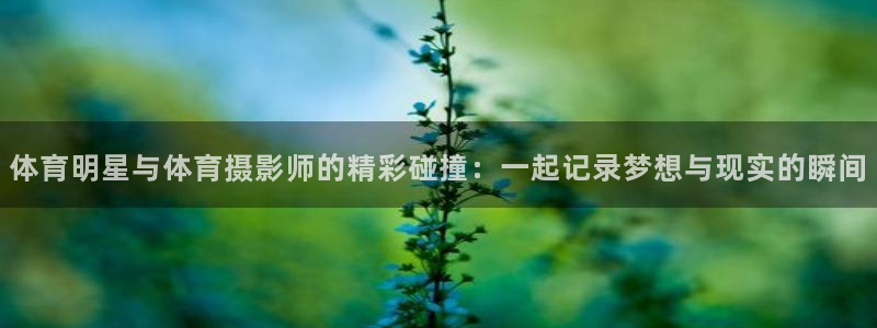 体育明星与体育摄影师的精彩碰撞：一起记录梦想与现实的瞬间