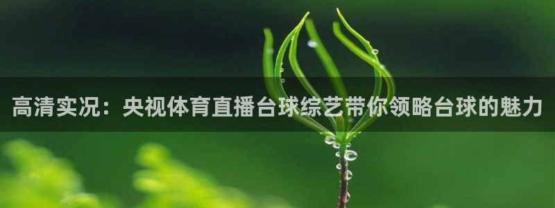 高清实况：央视体育直播台球综艺带你领略台球的魅力