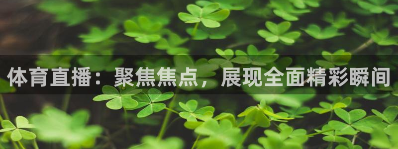 体育直播：聚焦焦点，展现全面精彩瞬间