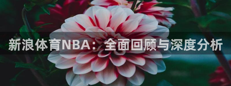 新浪体育NBA：全面回顾与深度分析