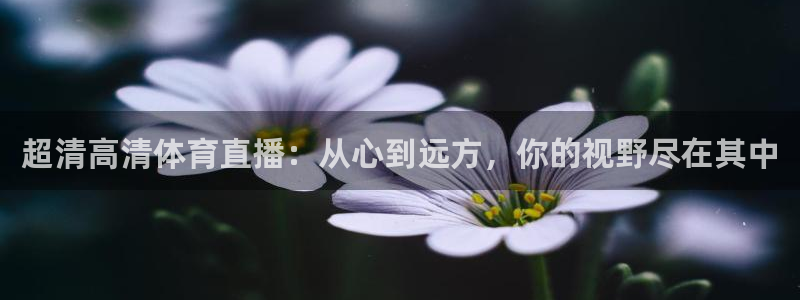 超清高清体育直播：从心到远方，你的视野尽在其中