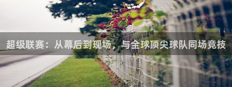 超级联赛：从幕后到现场，与全球顶尖球队同场竞技