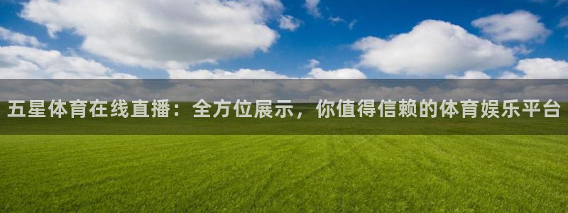 五星体育在线直播：全方位展示，你值得信赖的体育娱乐平台