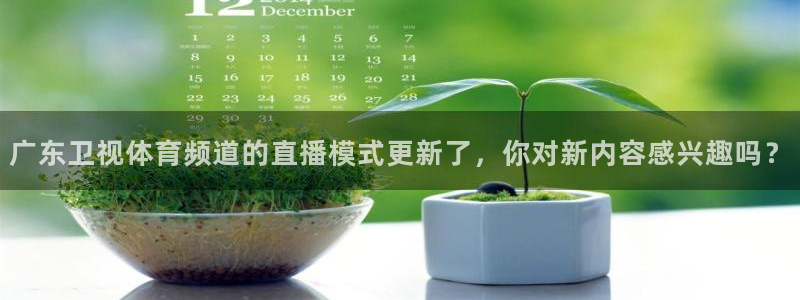 广东卫视体育频道的直播模式更新了，你对新内容感兴趣吗？