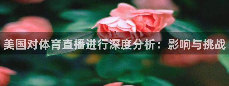 美国对体育直播进行深度分析：影响与挑战