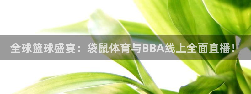 全球篮球盛宴：袋鼠体育与BBA线上全面直播！
