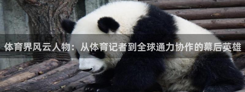 体育界风云人物：从体育记者到全球通力协作的幕后英雄