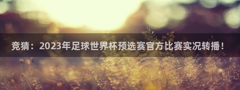 竞猜：2023年足球世界杯预选赛官方比赛实况转播！