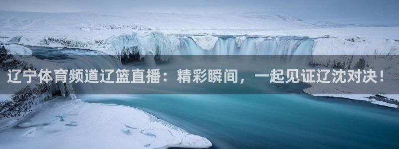 辽宁体育频道辽篮直播：精彩瞬间，一起见证辽沈对决！