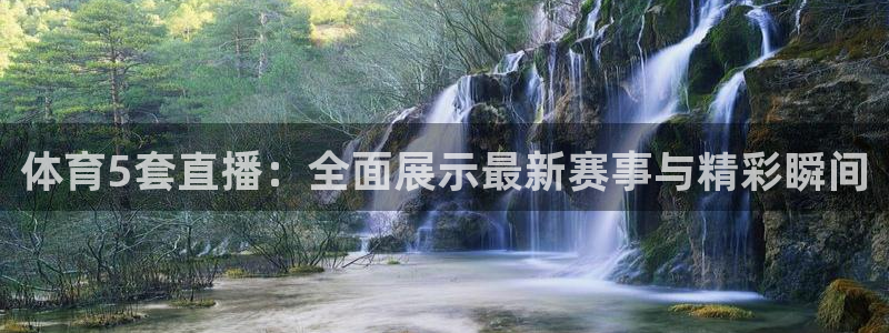 体育5套直播：全面展示最新赛事与精彩瞬间