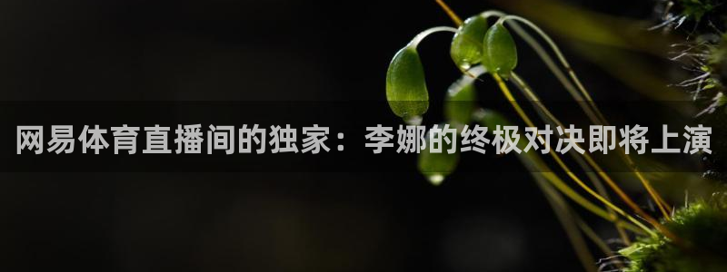 网易体育直播间的独家：李娜的终极对决即将上演