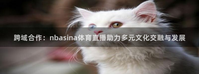 跨域合作：nbasina体育直播助力多元文化交融与发展