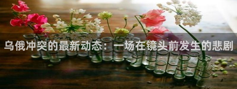乌俄冲突的最新动态：一场在镜头前发生的悲剧
