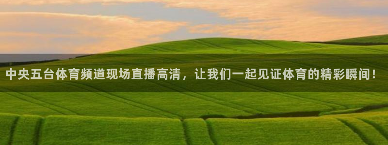 中央五台体育频道现场直播高清，让我们一起见证体育的精彩瞬间！