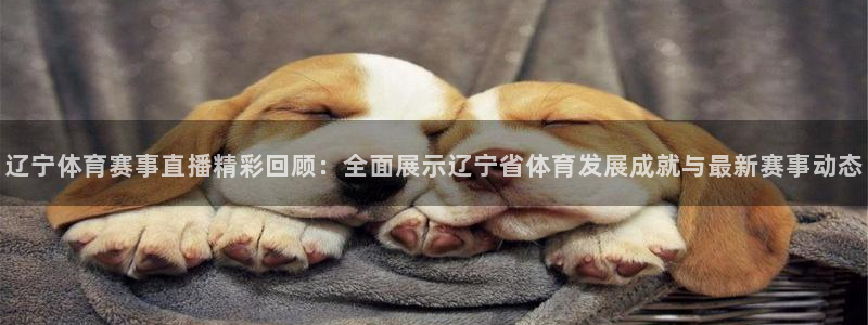 辽宁体育赛事直播精彩回顾：全面展示辽宁省体育发展成就与最新赛事动态