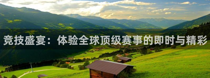 竞技盛宴：体验全球顶级赛事的即时与精彩